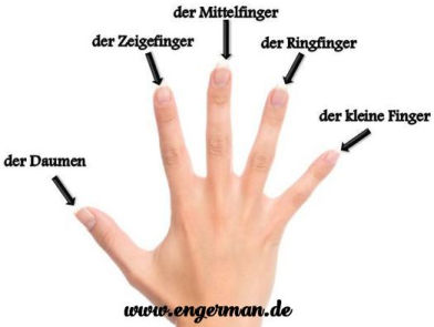 die Finger 2021-2022 tél