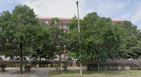 ELTE Lágymányosi Campus eszperantóból nyelvvizsga